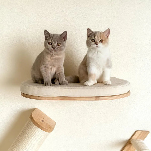 Beige Cat Bed de Luxe + Climbing Wall: Feline Comfort & Fun