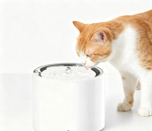 Smart Pet Water Fountain 3 Pro in White