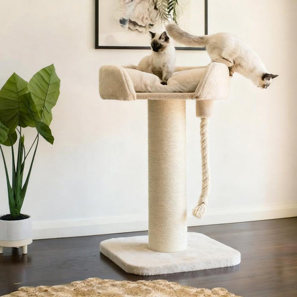 All-in-One Cat Tree: Play Rope, Scratch Post, Soft Plush – Stable Design for Happy Cats